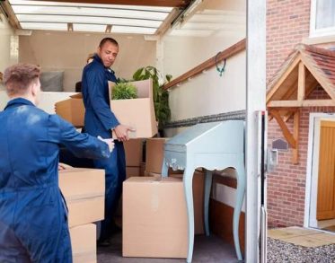 Safe, Eco-Friendly Pest Control Services for Every Property